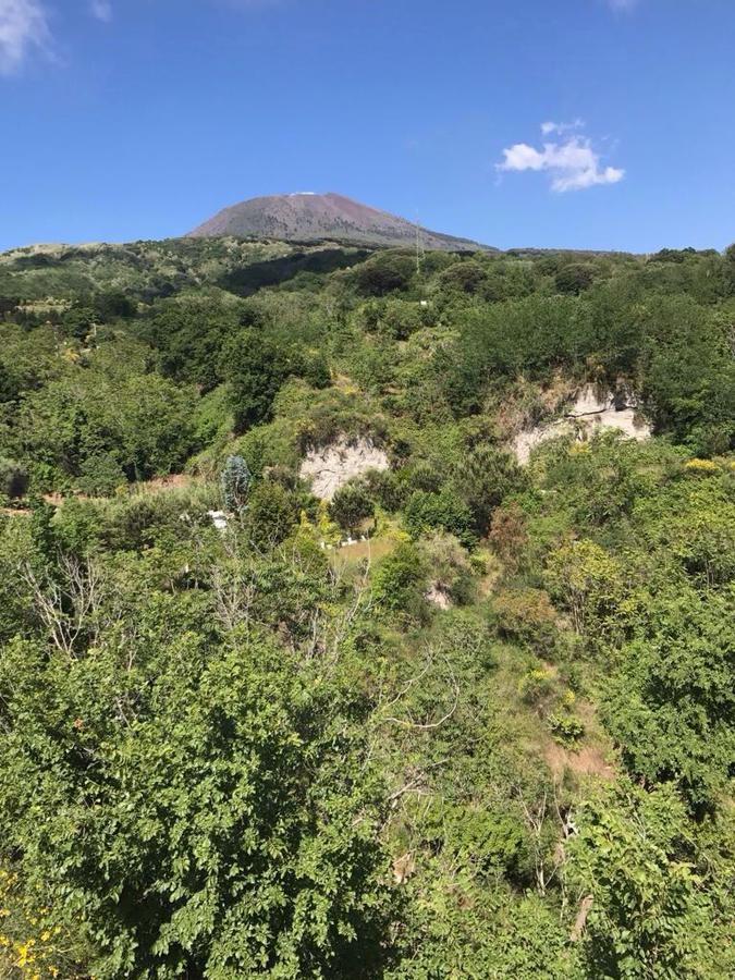 Domus Agricolae Corallina Torre del Greco Eksteriør bilde