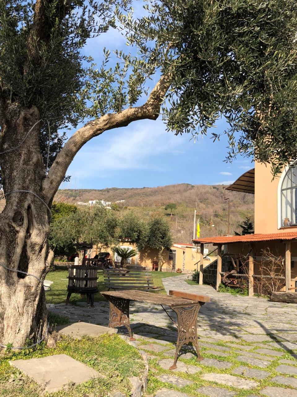 Domus Agricolae Corallina Torre del Greco Eksteriør bilde