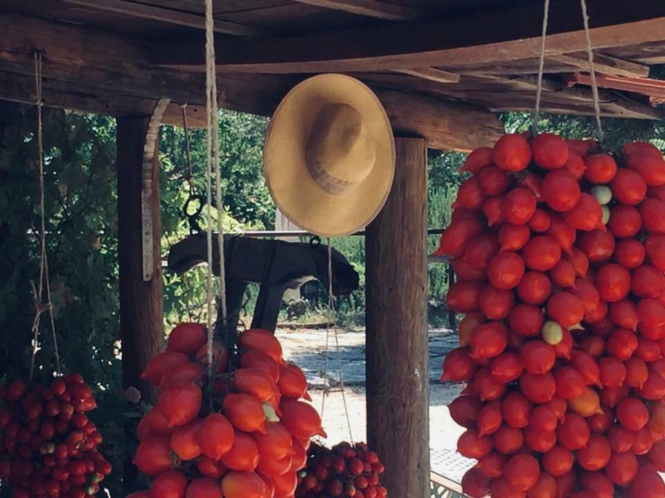 Domus Agricolae Corallina Torre del Greco Eksteriør bilde